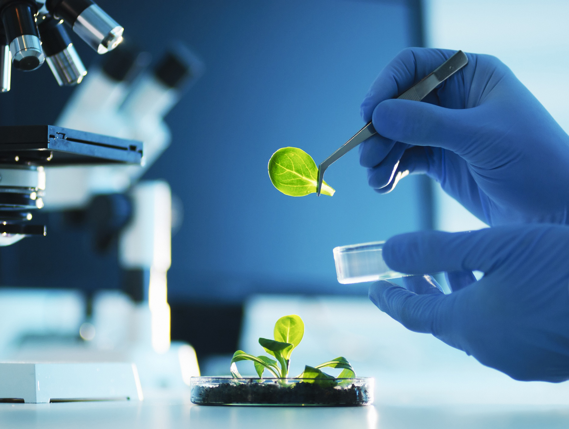 Biyomühendislik ve Bilimleri